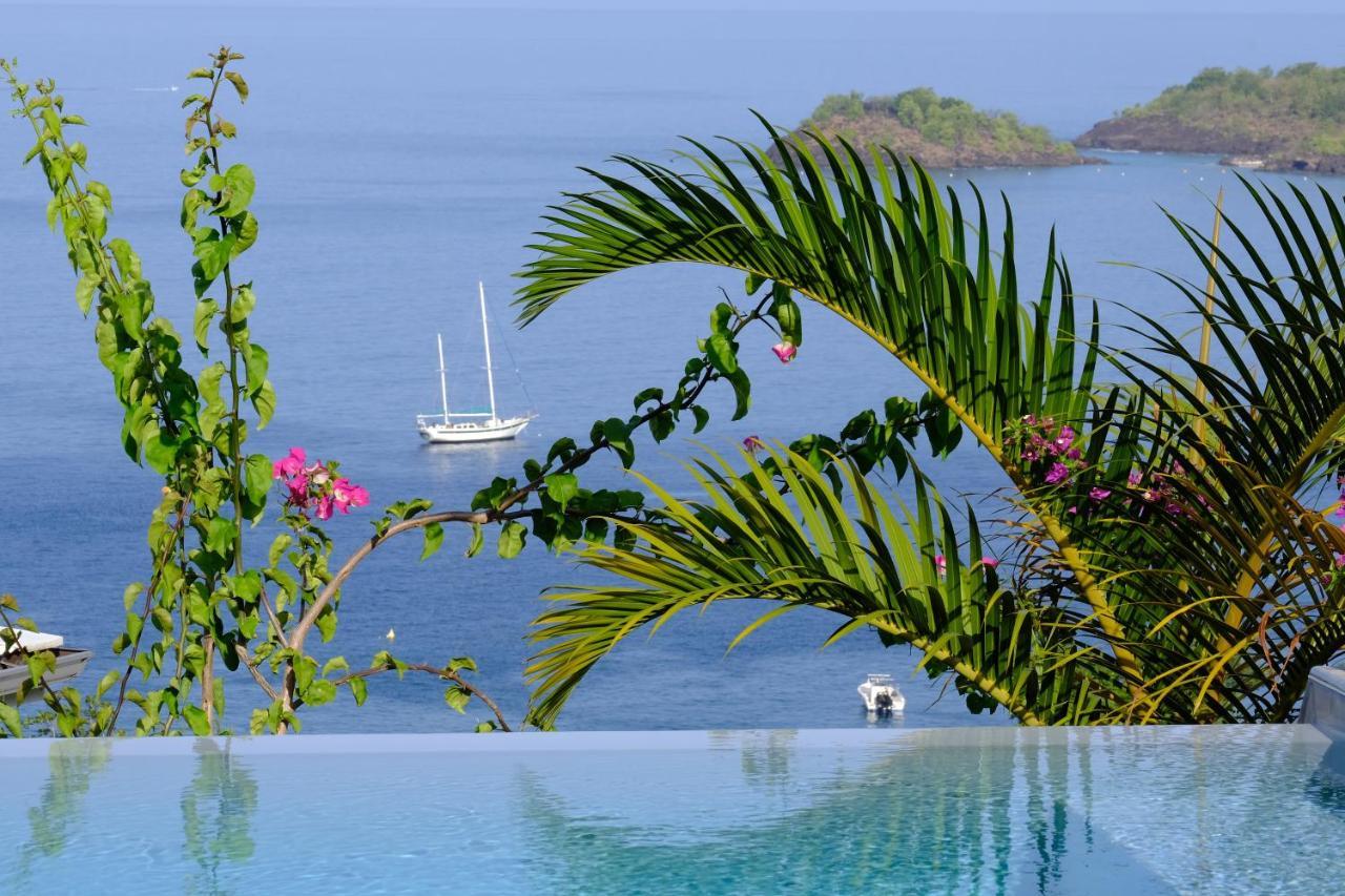 Sunset Palm - Superbe Villa Créole avec piscine face au coucher de soleil Bouillante Extérieur photo