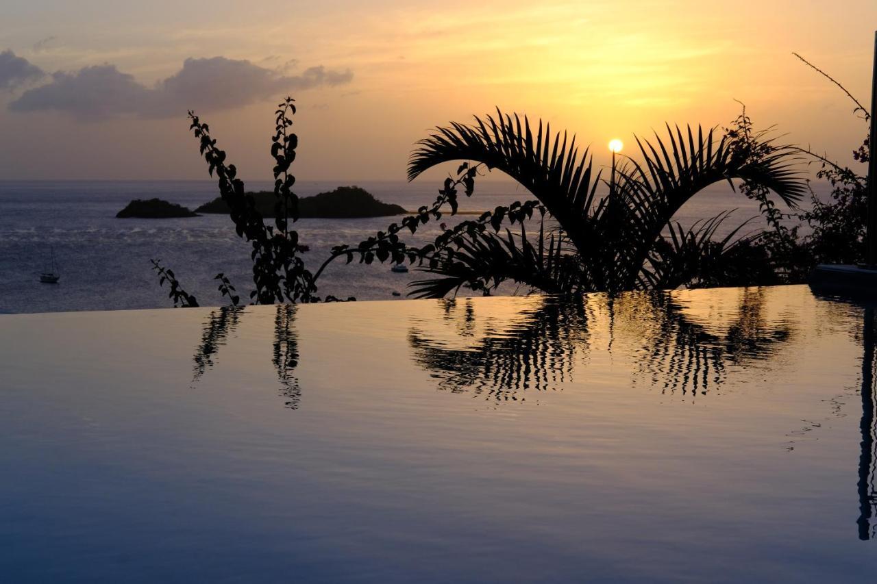 Sunset Palm - Superbe Villa Créole avec piscine face au coucher de soleil Bouillante Extérieur photo